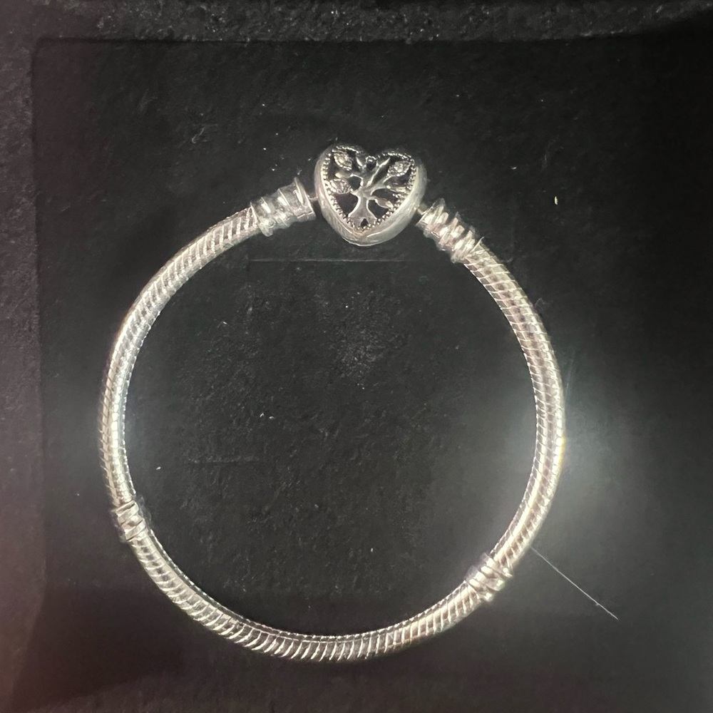 Pandora Moments Family Silver Heart Snake Chain Bracelet - 6”